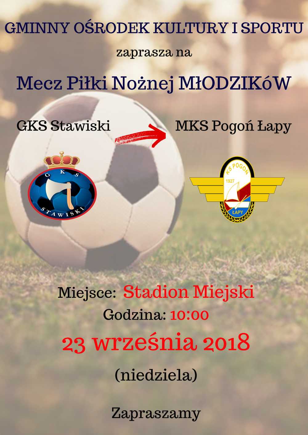 plakat na strone